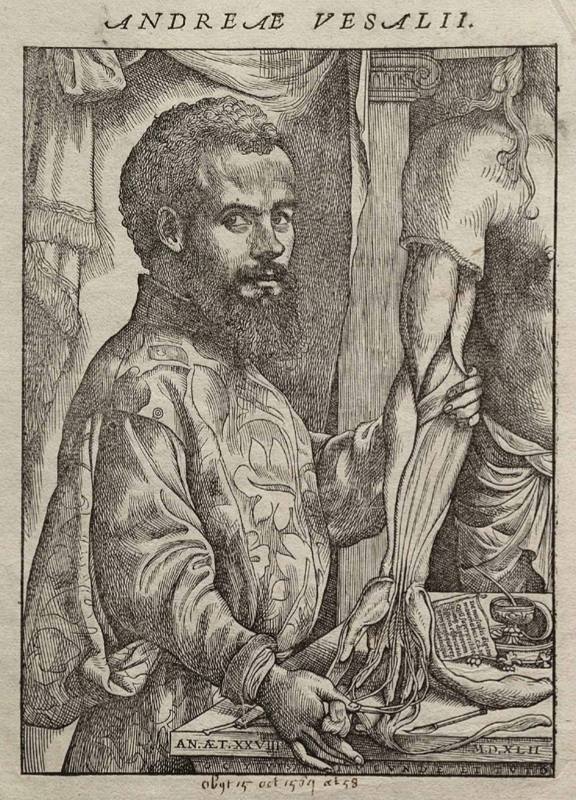 Portrait of Andreas Vesalius