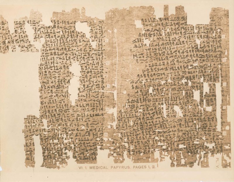 Pages 1 and 2 of the Kahun medical papyrus, 12th Dynasty, from Griffith's 1898 edition