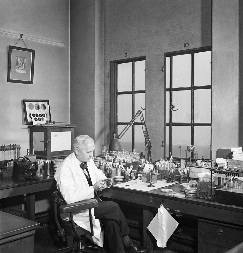 Alexander Fleming in his laboratory