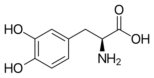 Chemical structure of L-DOPA, used to treat Parkinson disease