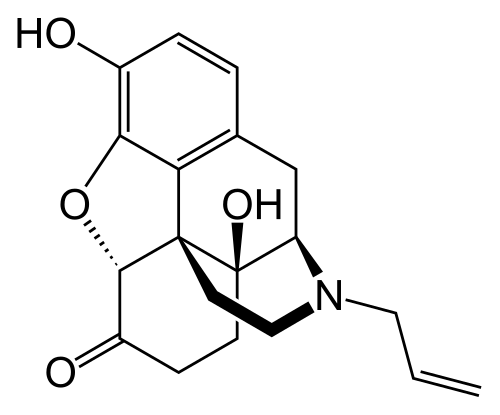 Molecular structure of naloxone