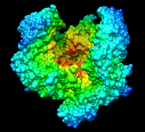 Molecular structure of streptokinase