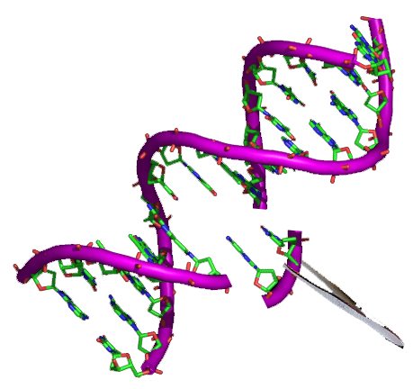 Illustration of gene therapy using a viral vector