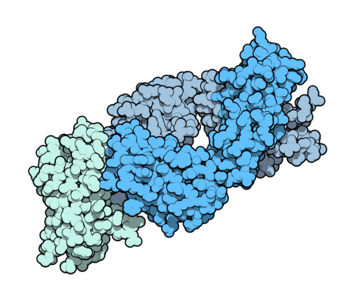 Molecular structure of the ipilimumab antibody Fab fragment bound to its target CTLA-4
