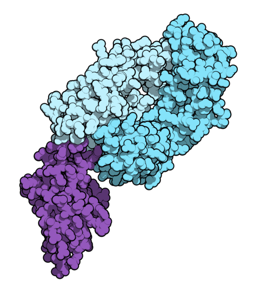 Molecular structure of the nivolumab antibody Fab fragment bound to the PD-1 receptor