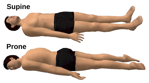 Diagram contrasting prone and supine body positions