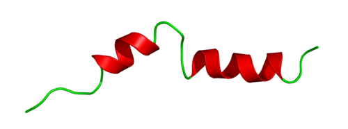 Molecular structure of the GLP-1 receptor agonist liraglutide