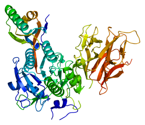 Crystal structure of the PCSK9 protein, the target of evolocumab and other PCSK9 inhibitors