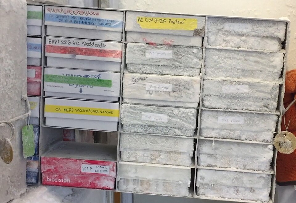 COVID-19 vaccine vials in a laboratory freezer